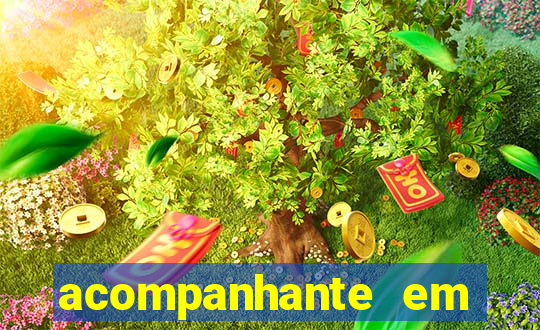 acompanhante em paulo afonso